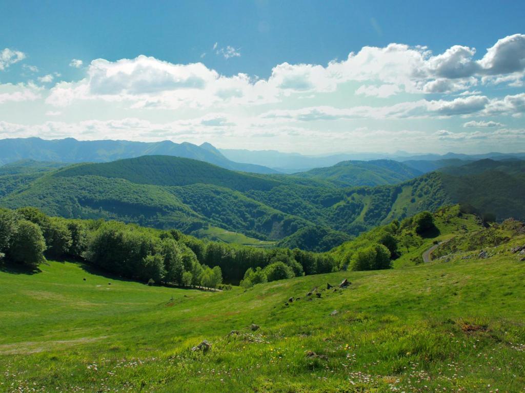 Hostal Jai Alai Leitza  Zewnętrze zdjęcie